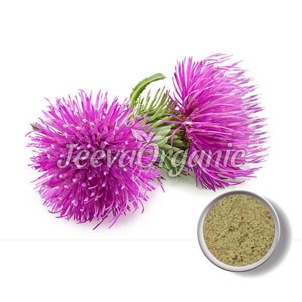 Organic-Burdock-Powder-Gobo-Powder.jpg