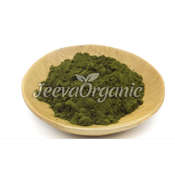 Organic-Chlorella-Powder Organic Chlorella Powder