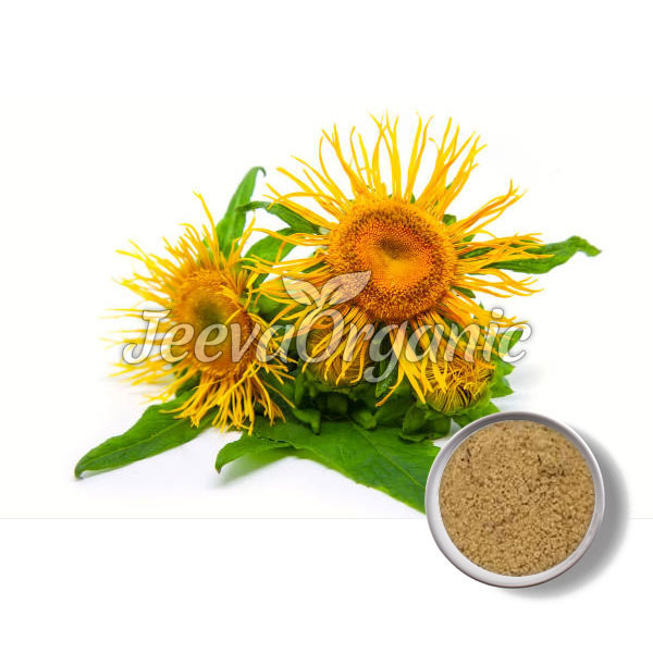 Organic-Elecampane-Powder.jpg