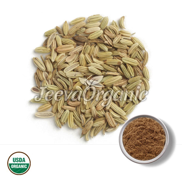 Organic-Fennel-Seed-Extract-Powder.jpg