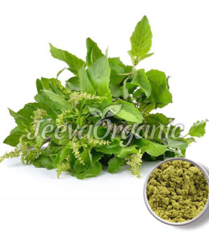 Holy Basil Powder