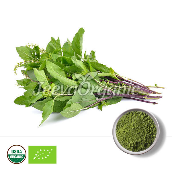 Organic-Holy-Basil-Leaves-Powder.jpg