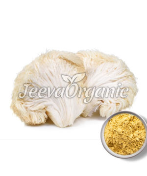 Lion's Mane Mushroom Powder