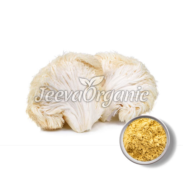 Organic-Lion-Mane-Powder.jpg