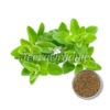 Organic Marjoram Powder