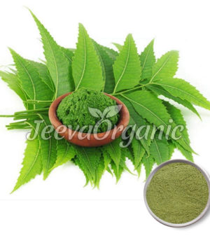 Organic Neem Leaf Powder