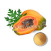 Organic Papaya Fruit Powder
