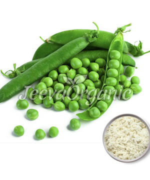 Organic Pea Protein Powder