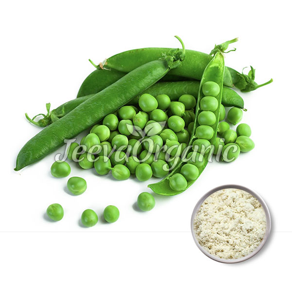 Organic-Pea-Protein-Powder Organic Pea Protein Powder