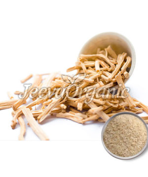 Organic Shatavari Root Powder