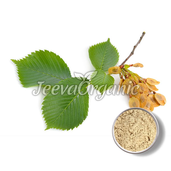 Organic-Slippery-Elm-Bark-Powder.jpg
