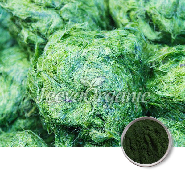 Organic-Spirulina-Powder Organic Spirulina Powder