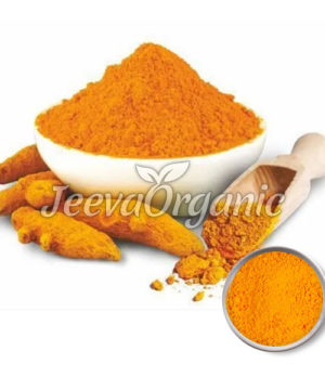 Organic Turmeric Extract Powder