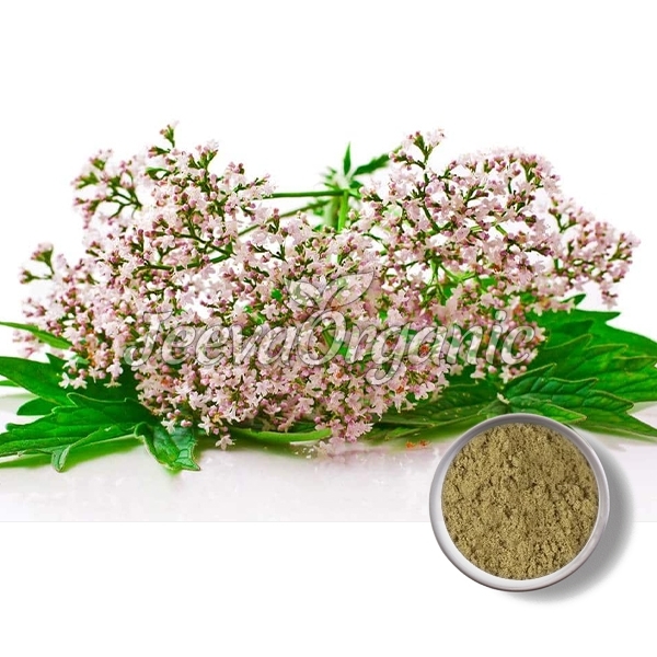 Organic-Valerian-Extract.jpg