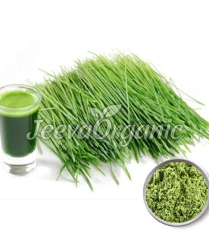 Organic Wheat Grass Juice Powder