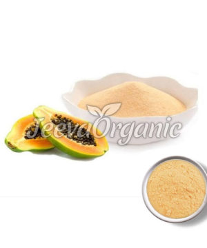 Papain Powder 1,000 TU/mg