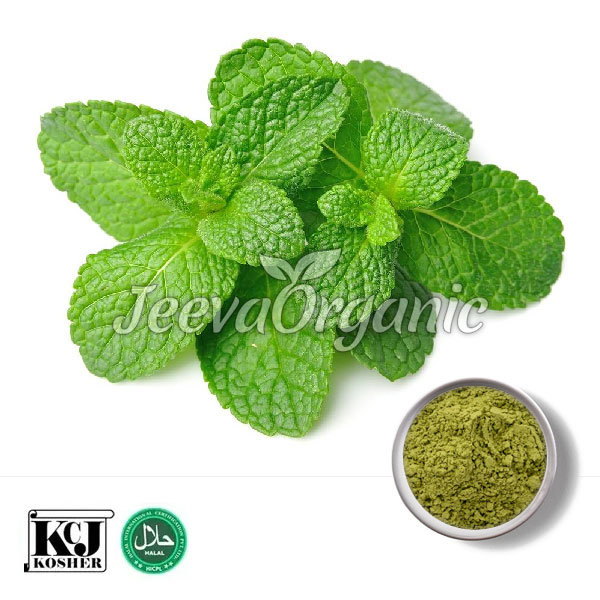 Peppermint-Extract-Powder.jpg