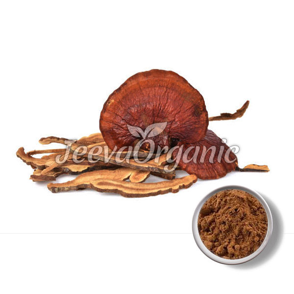 Reishi-Mushroom.jpg Reishi