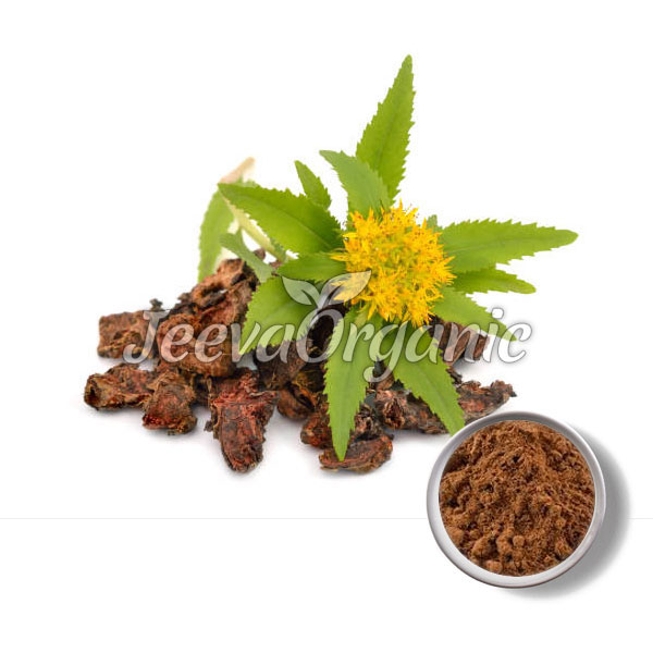 Rhodiola-Rosea.jpg