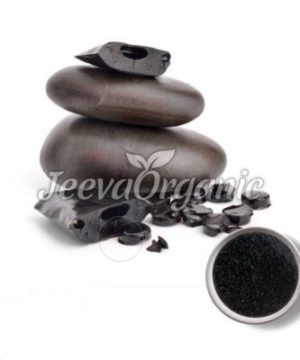 Shilajit-Extract-Powder