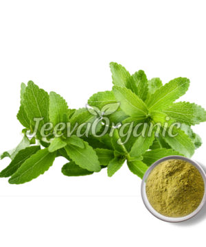 Stevia Powder
