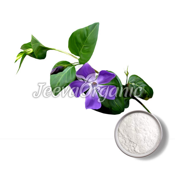 Vinpocetine.jpg