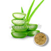 Aloe Vera Leaf Powder