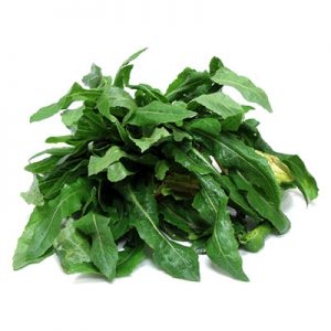 wild-lettuce-300x300-2.jpg