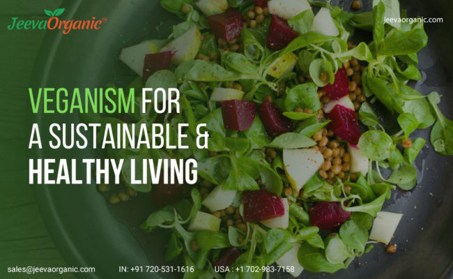 Veganism- Top Sources Wholesale Herbal Ingredients