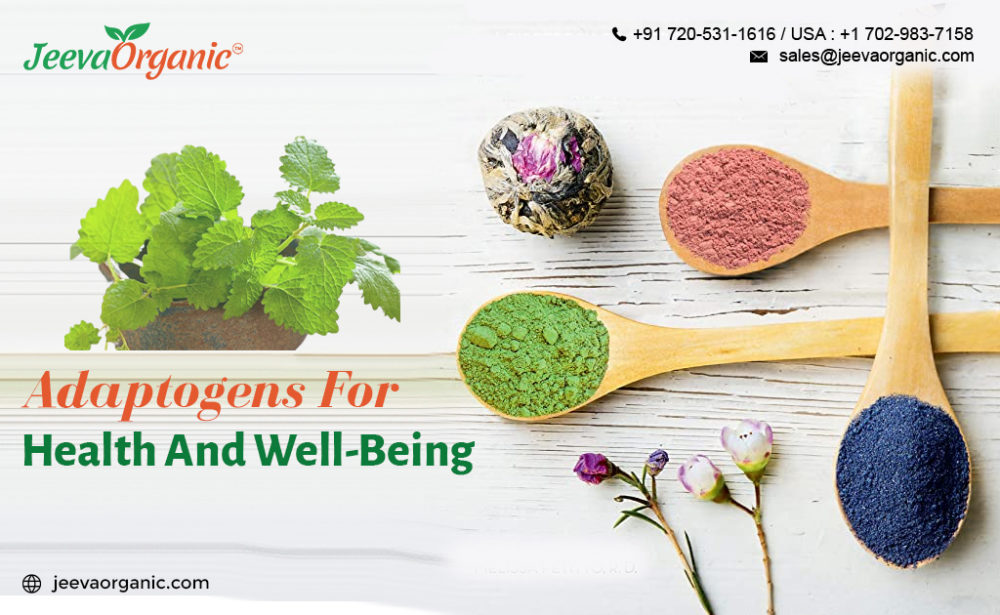 Adaptogen Supplement Manufacturing 101