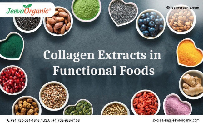 Collagen Extracts in Functional Foods: Challenges & Solutions