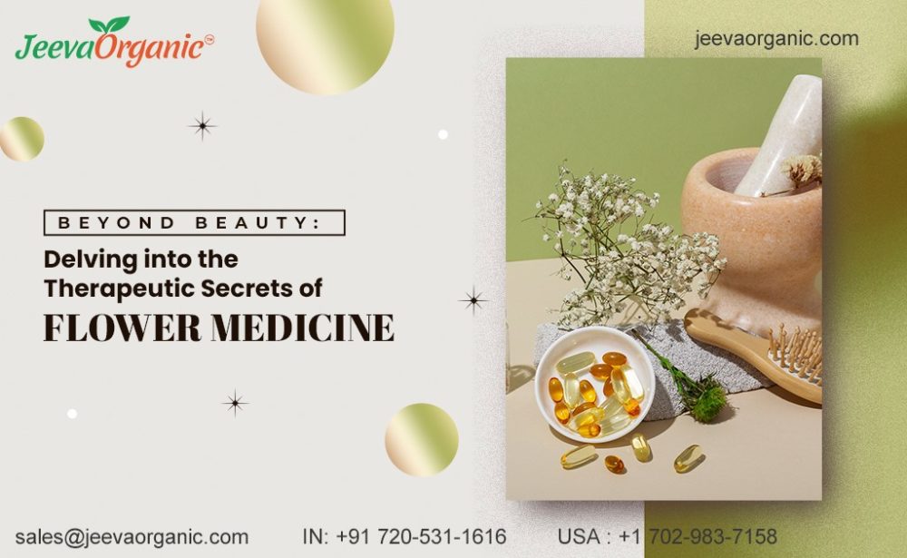 Flower Medicine Unveiled: Secrets of Healing from Petals to Potions