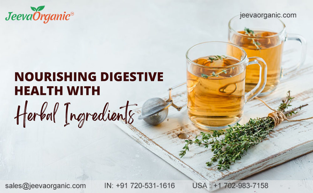 Herbal Ingredients for Digestive Health