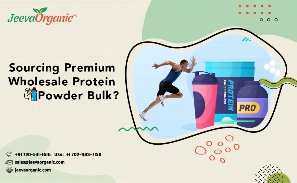 The Quest for Premium Wholesale Protein Powder Bulk