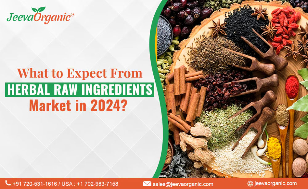 The Wholesale Organic Herbs Industry: Trends for 2024