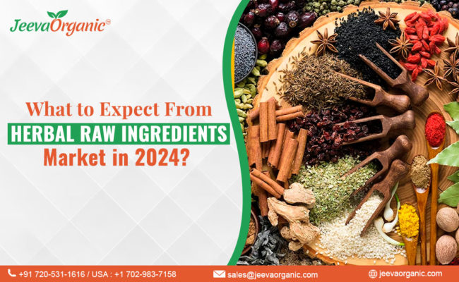 The Wholesale Organic Herbs Industry: Trends for 2024