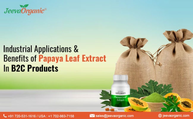 Papaya Leaf Extract | Wholesale Organic Ingredients
