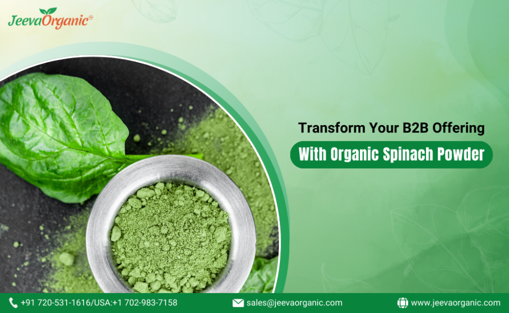 Transform Your B2B Offerings with Organic Spinach Powder