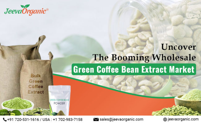 Dive into the surging market for wholesale green coffee bean extract! Discover its applications in nutraceuticals, cosmetics, & beverages.
