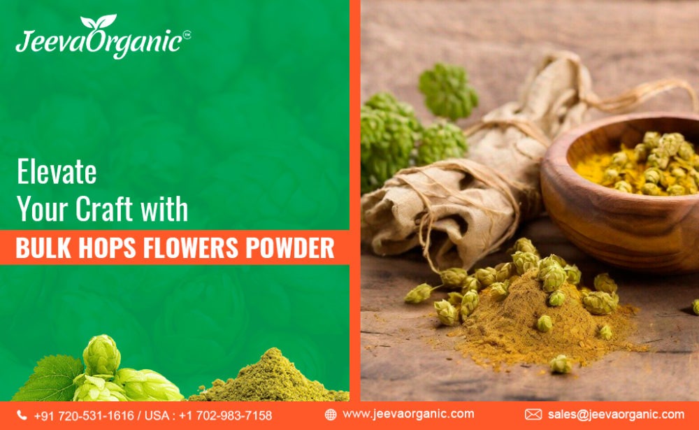 The Strategic Advantage of Bulk Hops Flowers Powder