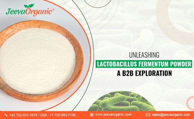 Lactobacillus Fermentum Powder: A B2B Guide
