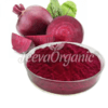 Beet Root Extract Powder