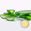 Aloe-vera-Extract-Powder