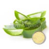 Aloe-vera-Extract-Powder