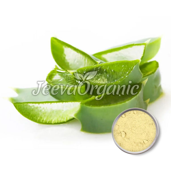Aloe-vera-Extract-Powder-2 Aloe-vera-Extract-Powder