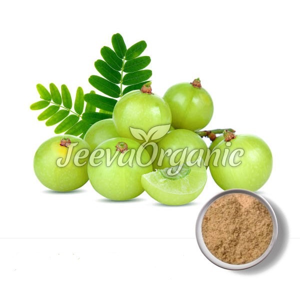 Amla-Extract-Powder-40-Tannins-UV Amla Fruit Extract Powder