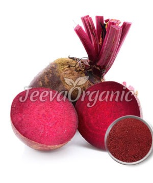 Beet Root Extract Powder