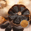 Black-garlic-extract--powder-1