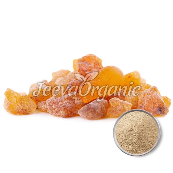 Boswellia serrata Extract Boswellia serrata Extract