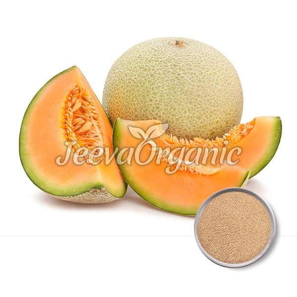 Cantaloupe-powder Cantaloupe